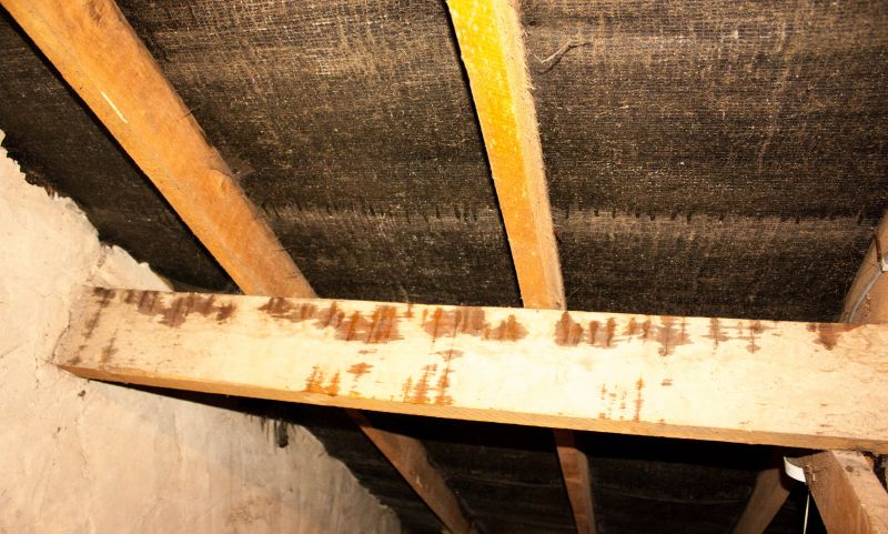 Building Damage Repair in Denver County, CO