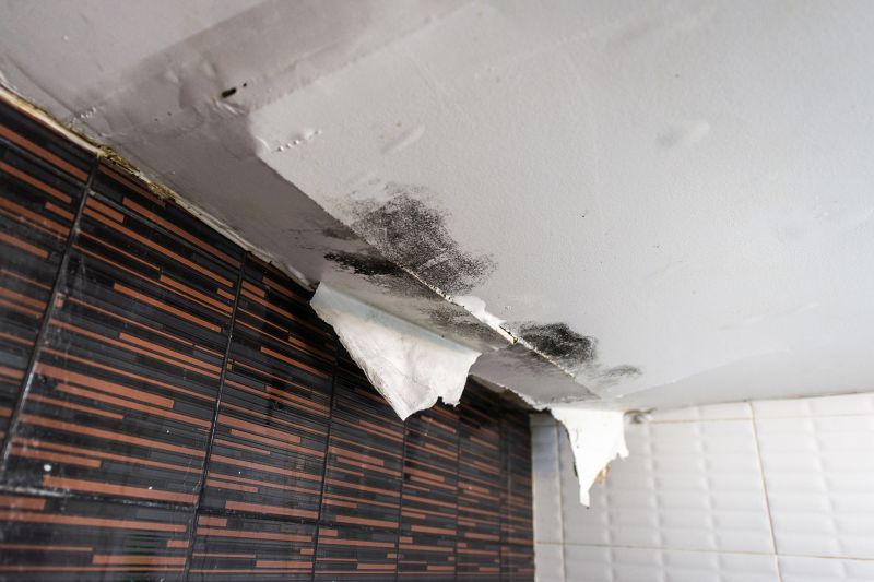 Ceiling Leak Repair Service in Conroe, TX