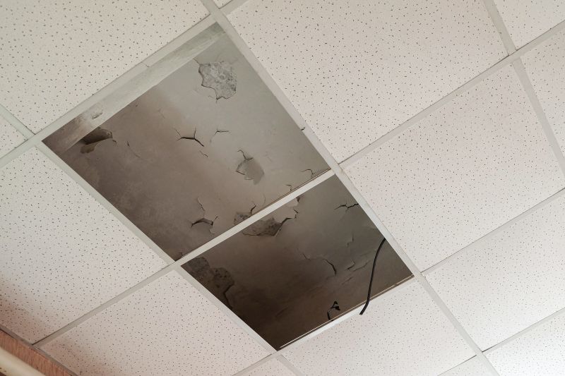 Leaking Ceiling Repair in Conroe, TX